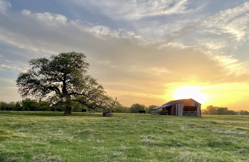 Grandview Cabin | Beautiful Tiny House on the Farm with Ocean Views