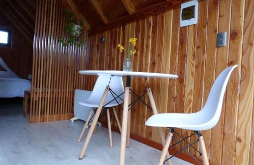 Puerto Octay Ski Chalet | Cozy Tiny House with Oceanfront Views in Puerto Octay