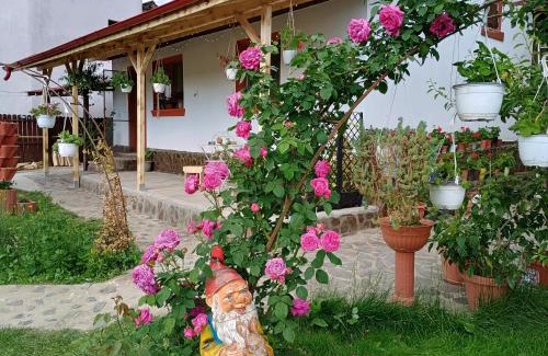 Ramnicu Valcea House | Child-Friendly Tiny Mara: Rated 10/10 by Guests