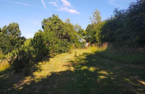 Messancy House | Immerse Yourself in Nature at Tiny Messancy Hotel