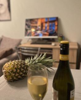 Narva Apartment | Pet-Friendly Haven: Discover Tiny Paradise Retreat