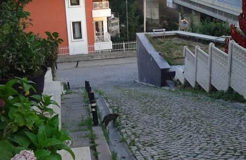 Ortakoy House | Cozy Studio with Kitchen & Breakfast in Beşiktaş/Ortaköy
