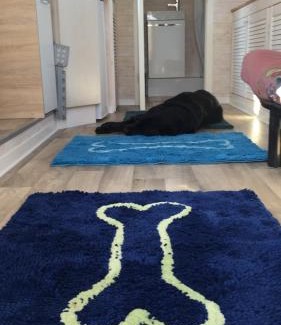 Pettstadt House | Cozy Tinyhouse Bamberg: Pet-Friendly with Hot Tub & Breakfast