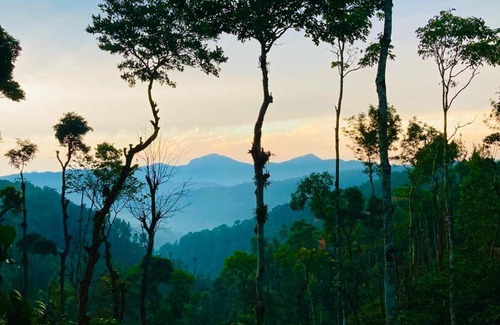 Somvarpet Ski Chalet | Family-Friendly Tinyhouse in Hidden Valley, Coorg