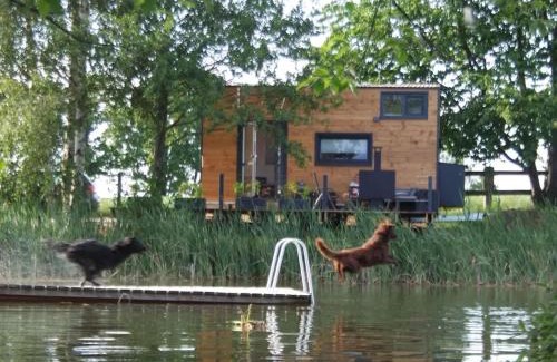 Buhlau House | Cozy Tiny House near Dresden with Pool and Nature Views