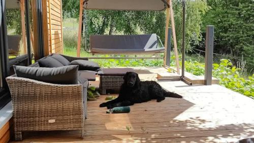 Buhlau House | Cozy TinyHouse bei Dresden: Perfect for Families & Pet Lovers