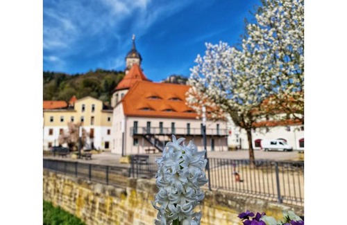 Konigstein an der Elbe House | Unforgettable Tinyroom with Scenic Views - Rated 10/10