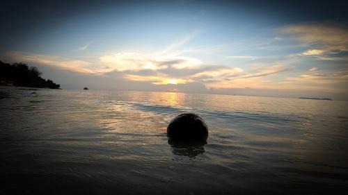 Tekek Bed & Breakfast | Oceanfront Bliss at Tioman Cabana Bed & Breakfast
