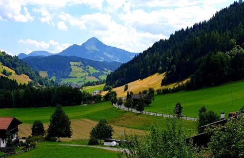 Oberau Apartment | Discover Tirolee Marchegg: Pet and Child-Friendly Retreat