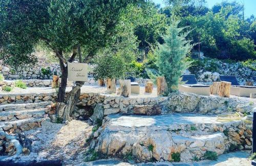 Tisno Apartment | Discover Tisno Resort: Pet-Friendly Oceanfront Retreat
