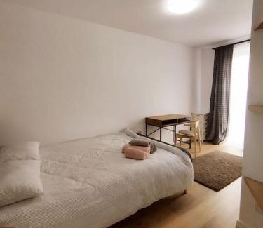 Sinnicoara Apartment | Convenient Stay Near Airport with Family & Pet-Friendly Perks