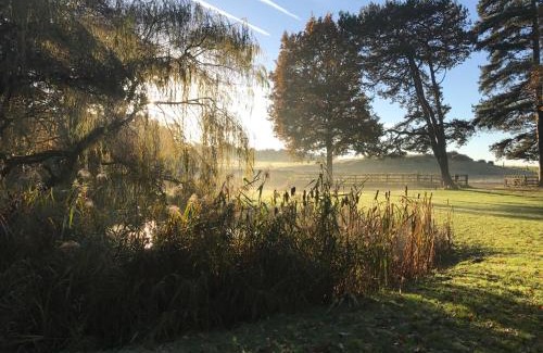 King's Lynn Other | Toad Hall: Pet-Friendly Haven with Hot Tub & Perfect Score