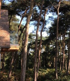 King's Lynn Other | Toad Hall: Pet-Friendly Haven with Hot Tub & Perfect Score