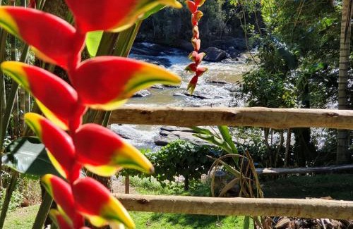 Socorro House | Explore Toca do Roka: Oceanfront Bliss with Spa & Pets