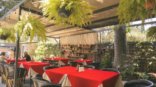Chapala Centro Hotel | Inviting Stay at Toca Madera with Family-Friendly Amenities