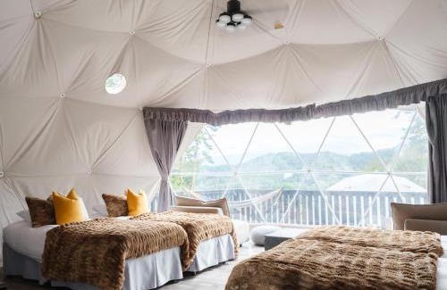Oishi Other | Experience Mt. Fuji Camping & Glamping at TOCORO