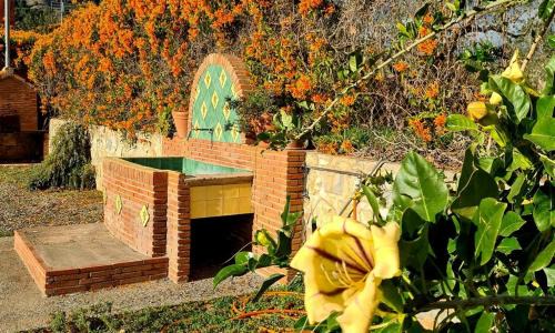 Velez de Benaudalla House | Experience Luxury at TODIMER FINCA ALPUJAREÑA - Pet Friendly