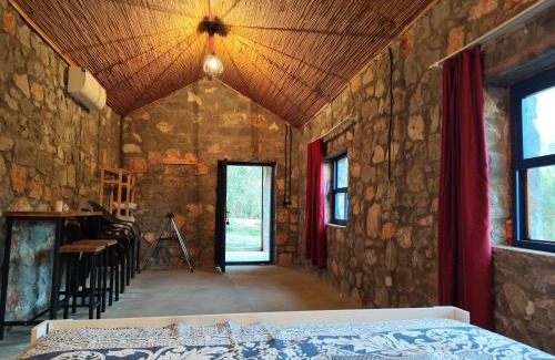 Ortaca Ski Chalet | Discover Togo Iztuzu Stonehouse: Pet-Friendly Oceanfront Retreat