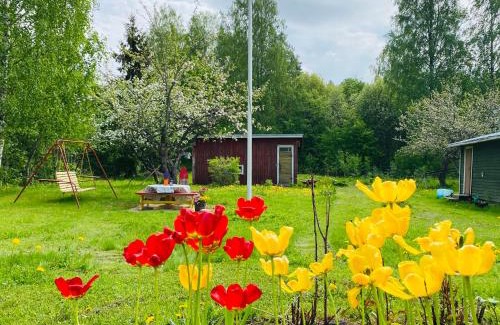 Joroinen House | Toivola