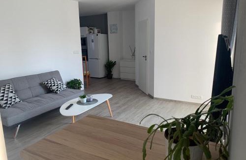 Pardubice Apartment | Cozy Tolarova Apartmán: Pet-Friendly with Breakfast Included