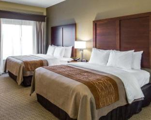 Rural Estates Hotel | Comfort Inn Naples East I-75: Family-Friendly Retreat
