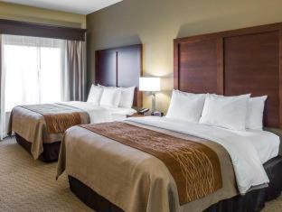 Rural Estates Hotel | Comfort Inn Naples East I-75: Family-Friendly Retreat