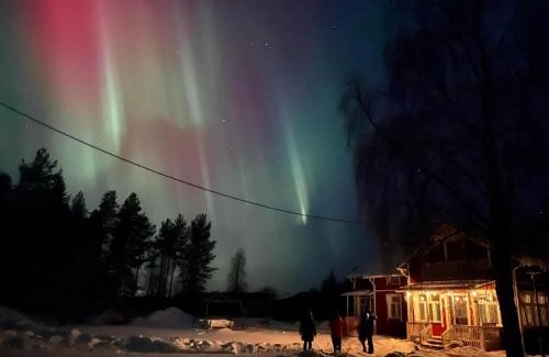 Ranua Apartment | Pet-Friendly Retreat at Huoneisto Toloppa - Rated 9.3/10