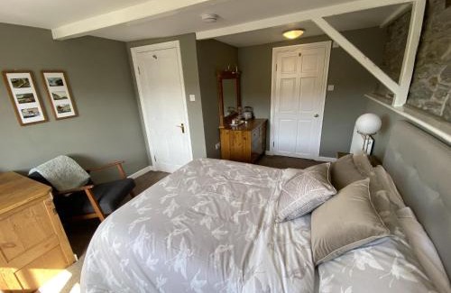 Tregaron Bed & Breakfast | Pet-Friendly Retreat at Tom's of Tregaron - Guest Rated 9.2