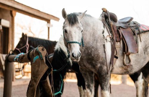 Tombstone Resort | Discover Tombstone Monument Guest Ranch: Top-Rated Getaway