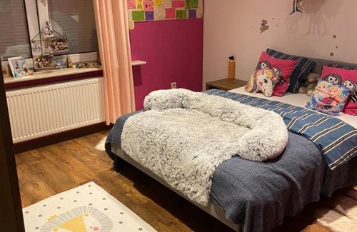 Boom Villa | Welcome to Tomorrowland Guesthouse: Family-Friendly Retreat