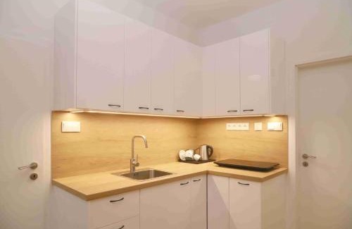 Borovany Apartment | Top-Rated Novohradské Hory Apartment for Family Getaways