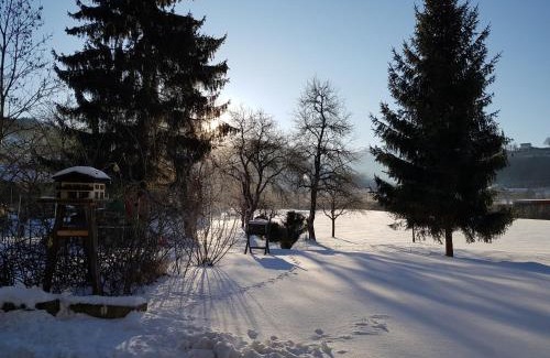 Pfarrwerfen Apartment | Guest Rated: Top-Apartment Pfarrwerfen - Family-Friendly Stay