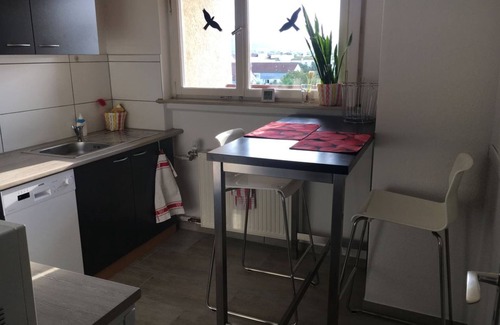 Schwalbach am Taunus Apartment | Inviting Top Floor Studio Apartment with Kitchen Access