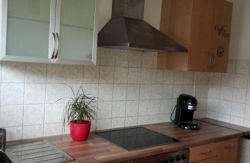 Kaiserslautern Apartment | Prime Location Apartment with Garden for Up to 5 Guests
