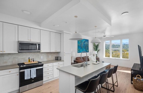 Fairpark Apartment | Top VIEWS! Capital building! Rooftop pool/gym/bowl