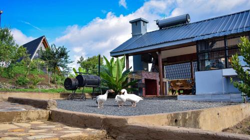 Nanyuki Villa | Cozy Topi Cottages: Pet-Friendly with Breakfast Included