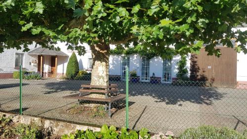 Ferschweiler Apartment | Explore Tor zur Teufelsschlucht - Guest Rated 9.2/10