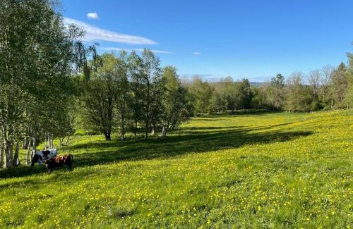 Falkoping House | Family-Friendly Retreat at Torbjörntorp Betel - Rated 9.3