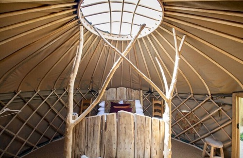 Watchet Other | Experience Torre Cider Farm: A 4-Star Gem with Family Perks