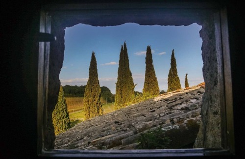 Orvieto Villa | Experience Torre Collevento: Spa Villa with Ocean Views