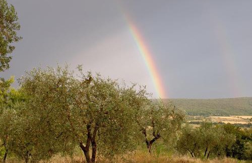 Monteriggioni Bed & Breakfast | Oceanfront Retreat at Torre Della Chiocciola - Rated 9.3