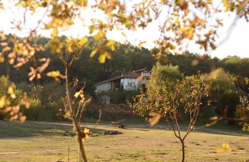 Panton Apartment | Discover Torre Tanquián Eco Finca in Scenic Ribeira Sacra