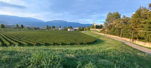 Colle Umberto House | Family-Friendly Getaway at Torretta sul Colle, Rated 8.9