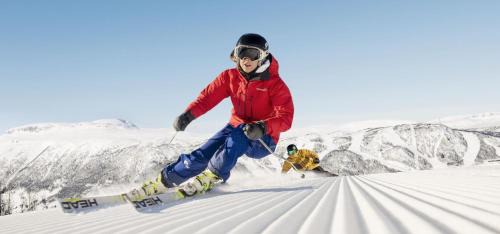 Nore og Uvdal Hotel | Delightful Torsetlia: Pet-Friendly Stay with Breakfast