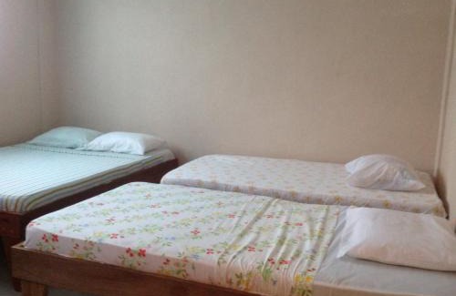Tortuguero Cabin | Beachfront Escape at Tortuguero Adventures Beach House