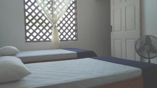 Tortuguero Cabin | Beachfront Escape at Tortuguero Adventures Beach House