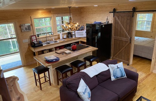 Linden Cabin | Heavenly Family Cabin with Pool & Lake View – Sleeps 10
