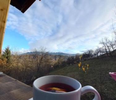 Moieciu Ski Chalet | Highly Rated Family Retreat: The Sun Chalet Awaits You