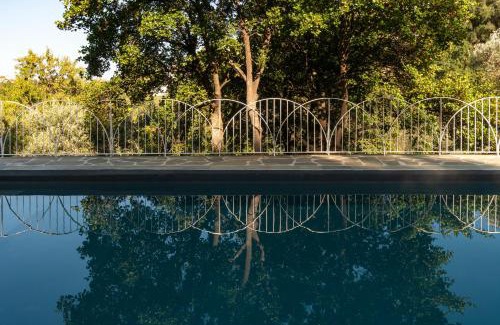 Andros Town Villa | Experience Touchstone House: Oceanfront Pet-Friendly Retreat