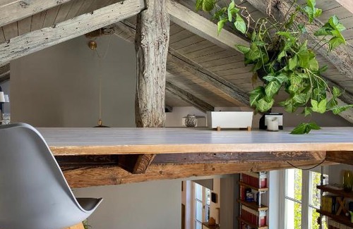 Roman Quarter Apartment | Pet-Friendly TOURinTURIN Apartment in Central Torino